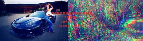 тгк Абаза