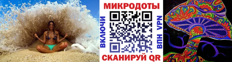 Псилоцибиновые грибы Psilocybe  Железногорск-Илимский 